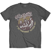 Aerosmith koszulka, Cheetah Print Grey, męskie