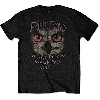 Pink Floyd koszulka, Owl - WDYWFM? Black, męskie