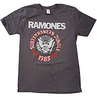 Ramones koszulka, Subterraneun Jungle Charcoal Gray, męskie