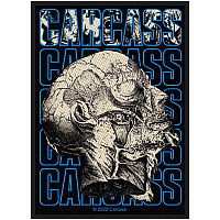 Carcass naszywka PES 100x50 mm, Necro Head