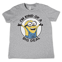 Despicable Me koszulka, I'm Kind Of A Big Deal Kids Grey, dziecięcy