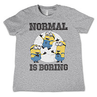 Despicable Me koszulka, Normal Life Is Boring Kids Grey, dziecięcy