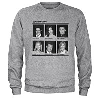 Friends bluza, Class Of 2004 Sweatshirt Grey, męska
