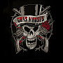 Guns N Roses bluza, Distressed Skull, męska