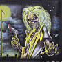 Iron Maiden portfel 11 x 9 x 2 cm s řetízkem/ 220 g, Killers