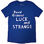 Pink Floyd koszulka, David Gilmour Luck & Strange Logo BP Blue, męskie